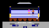 RealSports Boxing - Screenshot